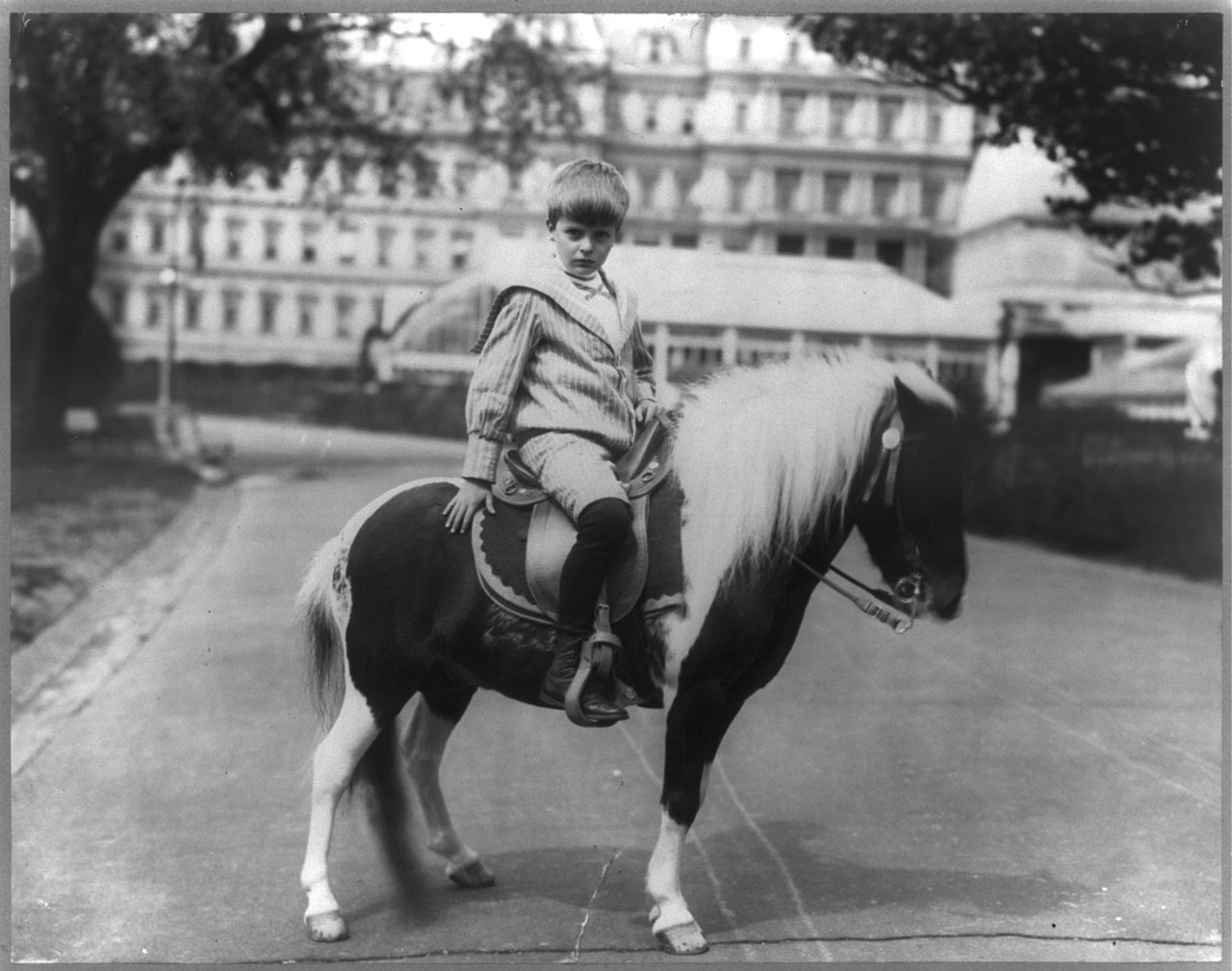 Archie riding Algonquin