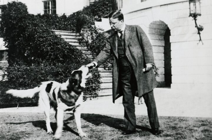 Theodore Roosevelt with St. Bernard Rollo